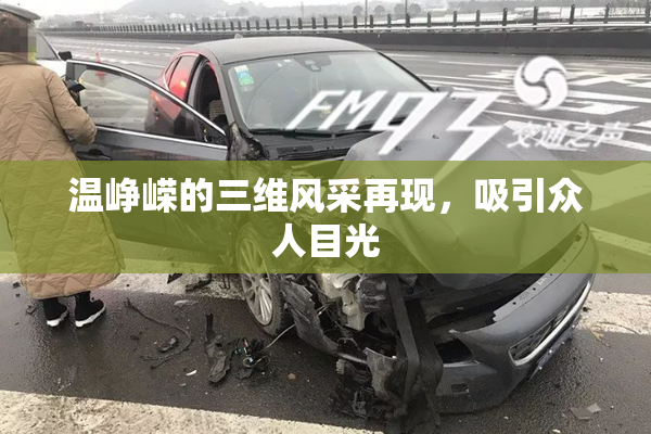 温峥嵘的三维风采再现，吸引众人目光