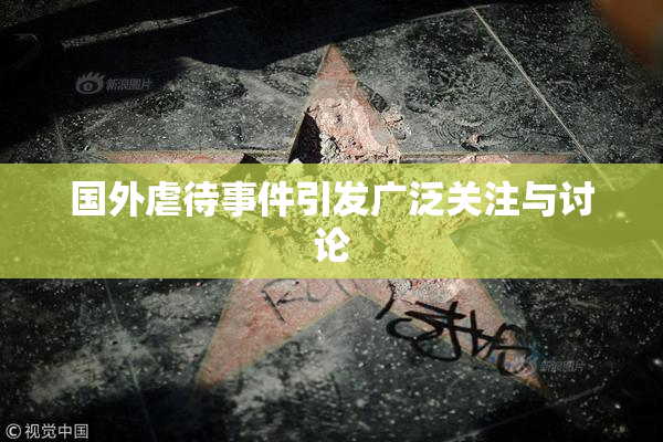 国外虐待事件引发广泛关注与讨论