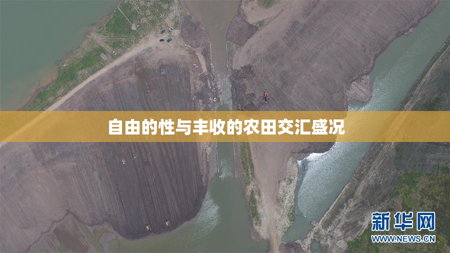 自由的性与丰收的农田交汇盛况
