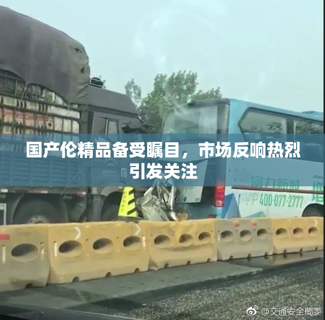 国产伦精品备受瞩目，市场反响热烈引发关注