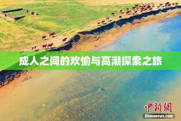 成人之间的欢愉与高潮探索之旅