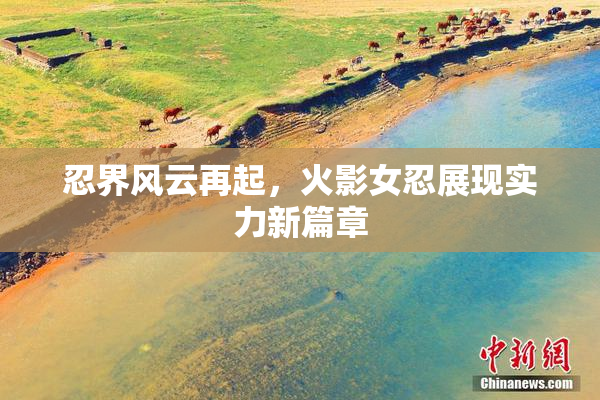 忍界风云再起，火影女忍展现实力新篇章