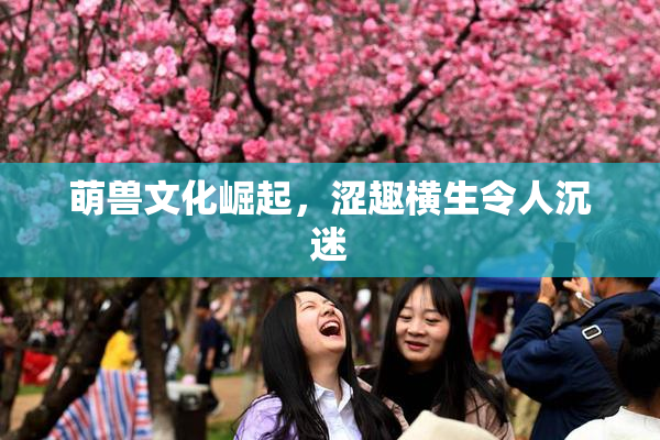 萌兽文化崛起，涩趣横生令人沉迷