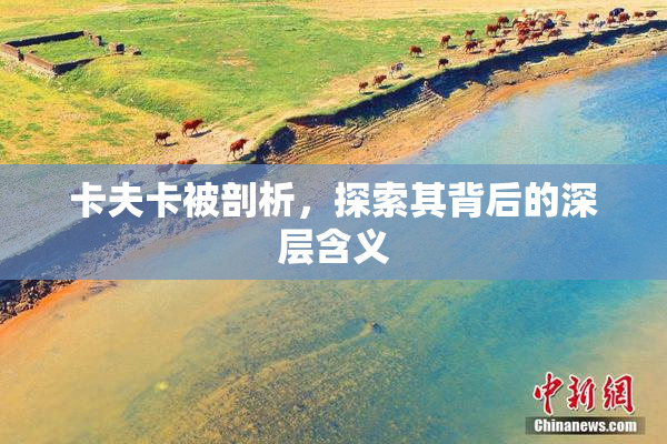 卡夫卡被剖析，探索其背后的深层含义
