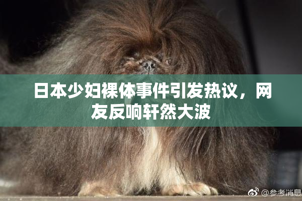 日本少妇裸体事件引发热议，网友反响轩然大波