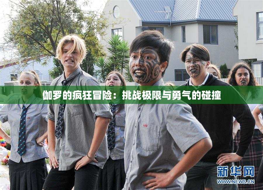 伽罗的疯狂冒险：挑战极限与勇气的碰撞