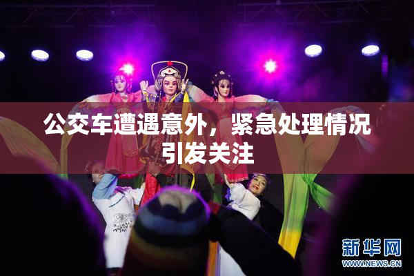 公交车遭遇意外，紧急处理情况引发关注