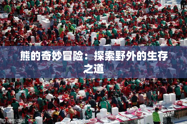 熊的奇妙冒险：探索野外的生存之道