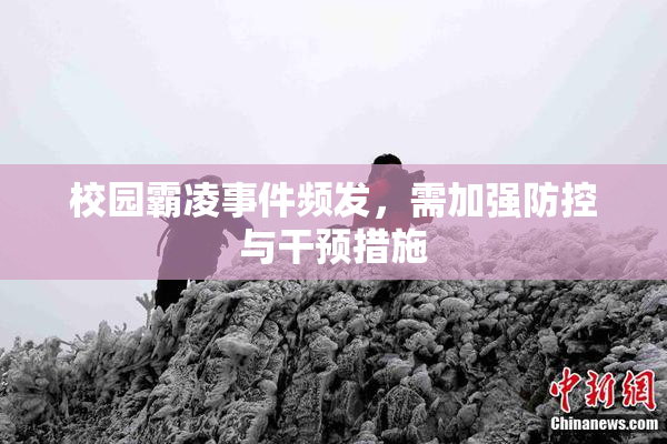 校园霸凌事件频发，需加强防控与干预措施