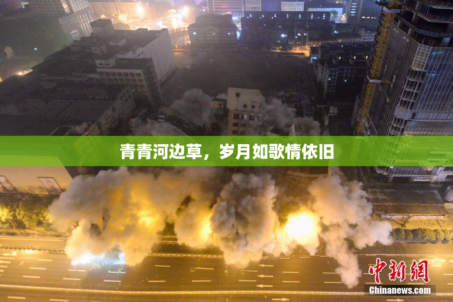 青青河边草，岁月如歌情依旧