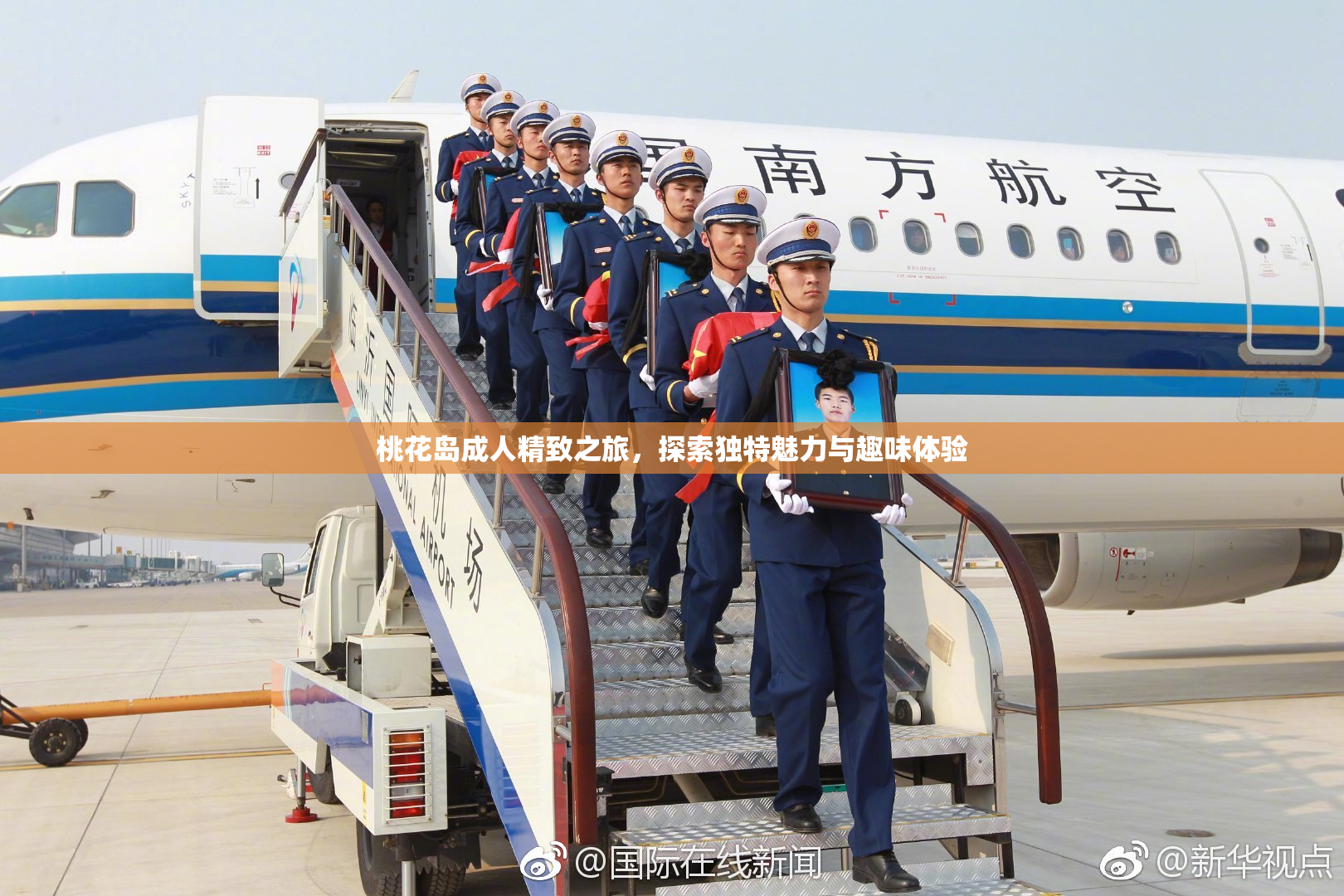桃花岛成人精致之旅，探索独特魅力与趣味体验