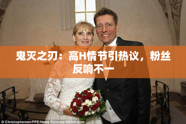鬼灭之刃：高H情节引热议，粉丝反响不一