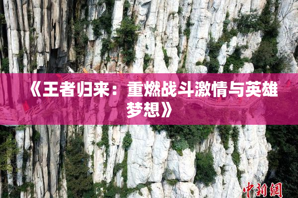 《王者归来：重燃战斗激情与英雄梦想》