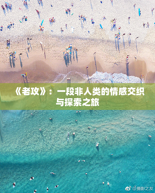 《老攻》：一段非人类的情感交织与探索之旅