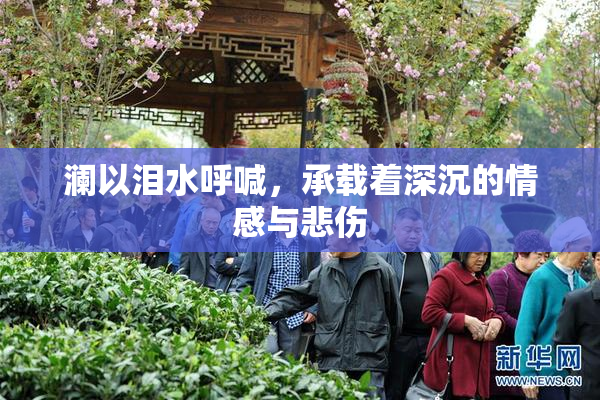 澜以泪水呼喊，承载着深沉的情感与悲伤