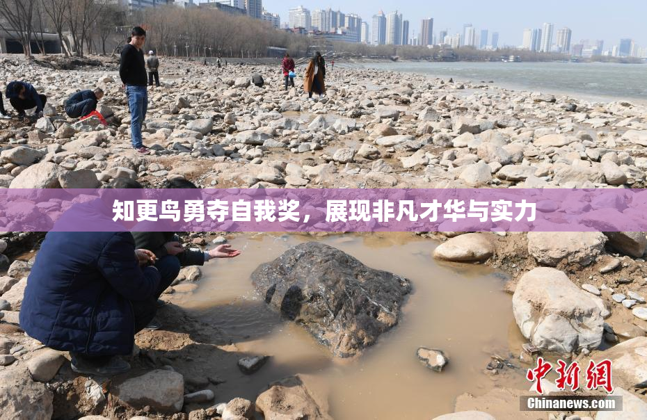 知更鸟勇夺自我奖，展现非凡才华与实力