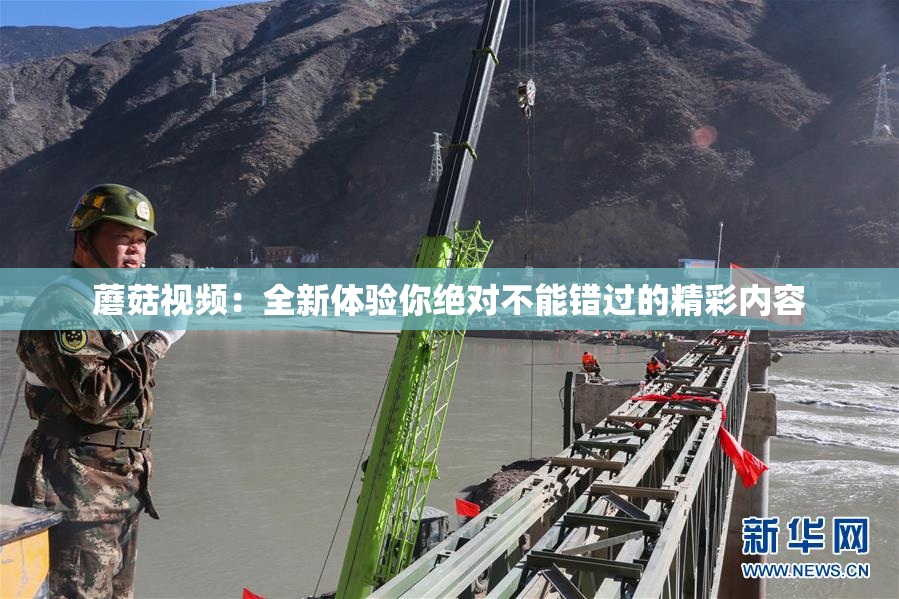 蘑菇视频：全新体验你绝对不能错过的精彩内容
