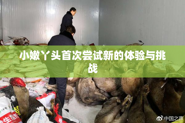 小嫩丫头首次尝试新的体验与挑战