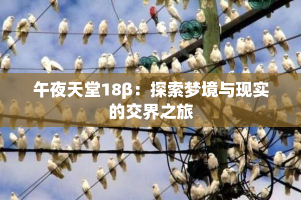 午夜天堂18β：探索梦境与现实的交界之旅