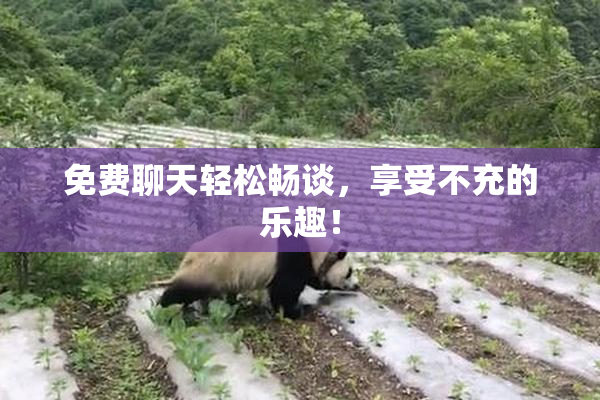 免费聊天轻松畅谈，享受不充的乐趣！