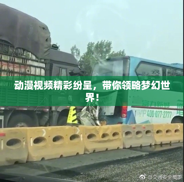 动漫视频精彩纷呈，带你领略梦幻世界！