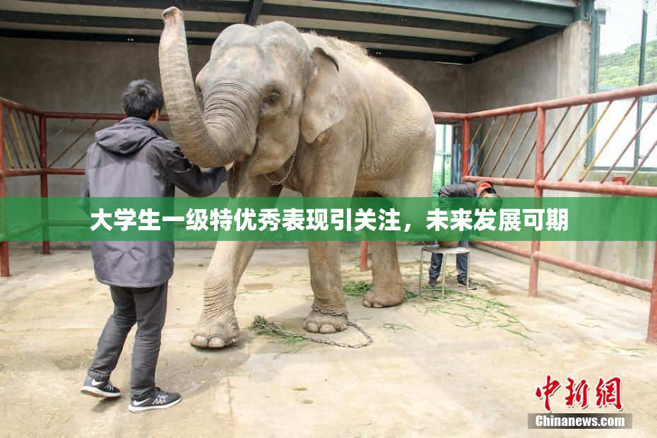 大学生一级特优秀表现引关注，未来发展可期