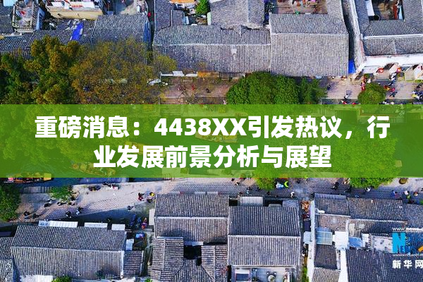 重磅消息：4438XX引发热议，行业发展前景分析与展望