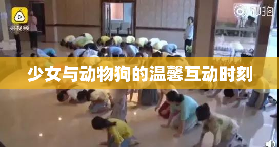 少女与动物狗的温馨互动时刻