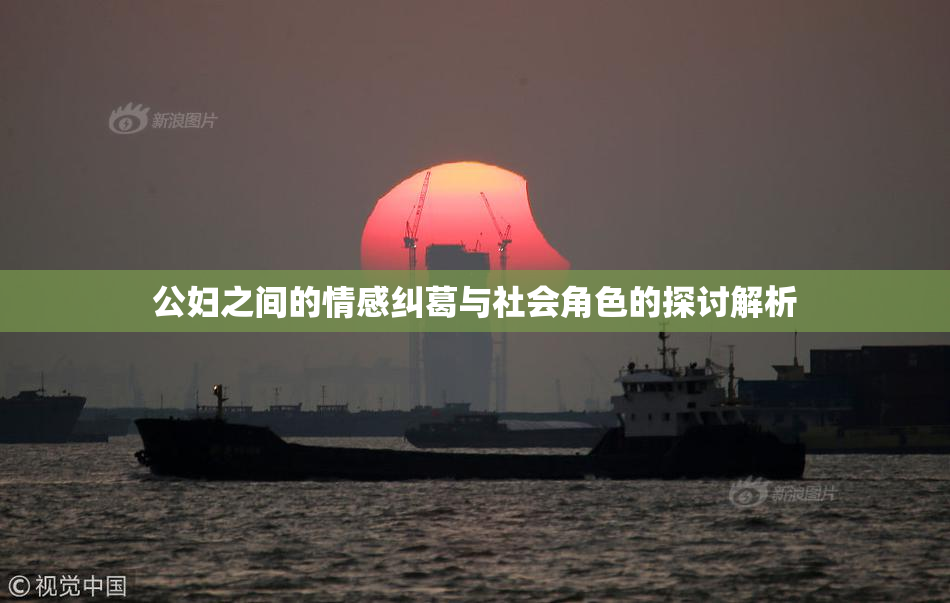 公妇之间的情感纠葛与社会角色的探讨解析