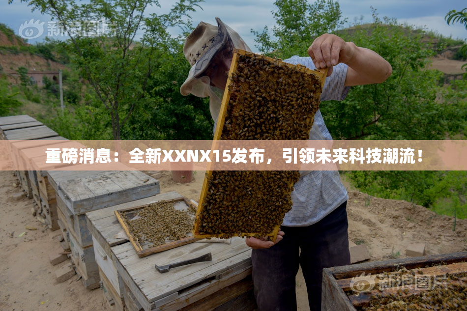 重磅消息：全新XXNX15发布，引领未来科技潮流！