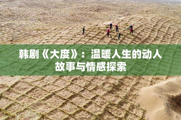 韩剧《大度》：温暖人生的动人故事与情感探索