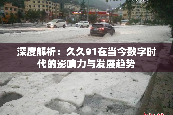 深度解析：久久91在当今数字时代的影响力与发展趋势