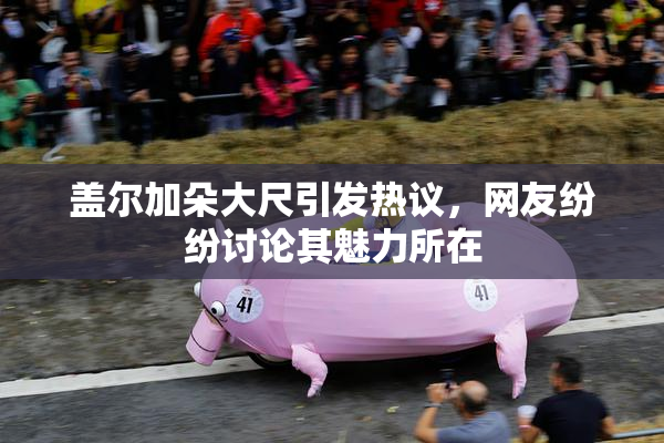 盖尔加朵大尺引发热议，网友纷纷讨论其魅力所在