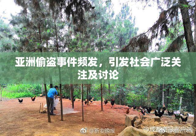 亚洲偷盗事件频发，引发社会广泛关注及讨论