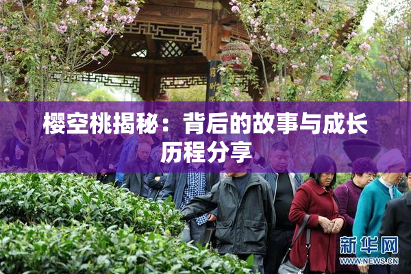 樱空桃揭秘：背后的故事与成长历程分享