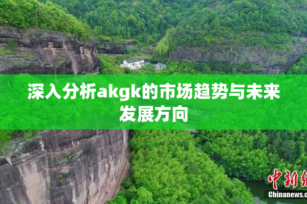深入分析akgk的市场趋势与未来发展方向