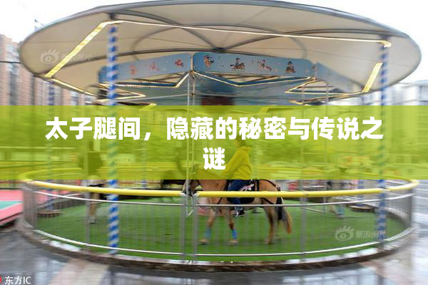 太子腿间，隐藏的秘密与传说之谜