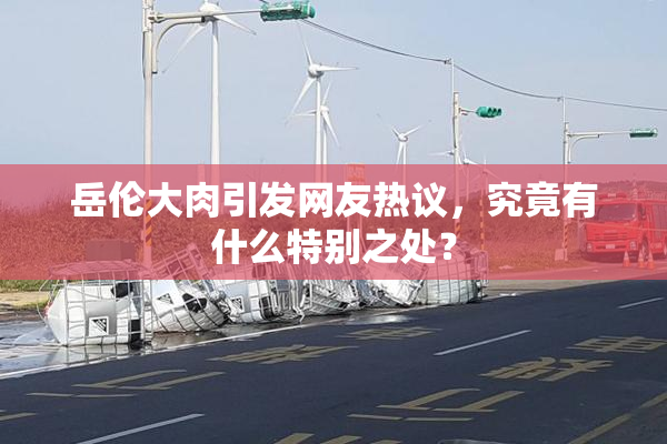 岳伦大肉引发网友热议，究竟有什么特别之处？