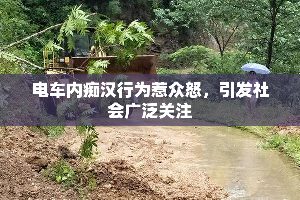 电车内痴汉行为惹众怒，引发社会广泛关注
