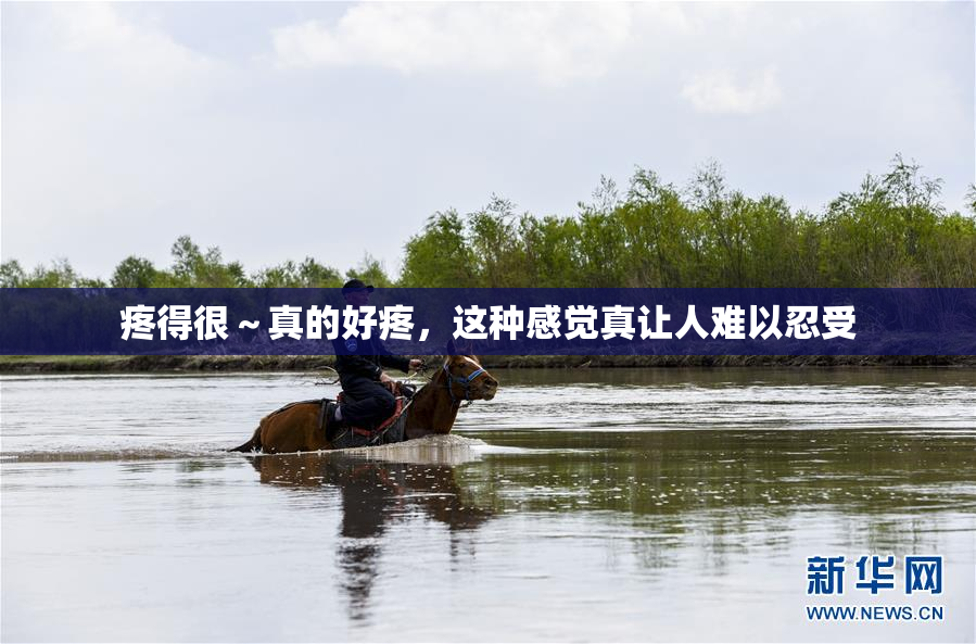 疼得很～真的好疼，这种感觉真让人难以忍受