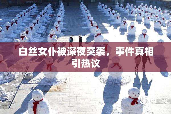 白丝女仆被深夜突袭，事件真相引热议
