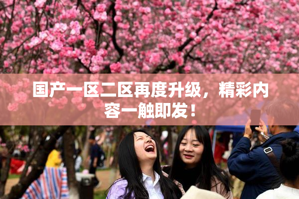 国产一区二区再度升级，精彩内容一触即发！