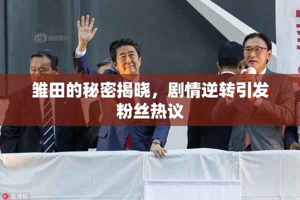 雏田的秘密揭晓，剧情逆转引发粉丝热议