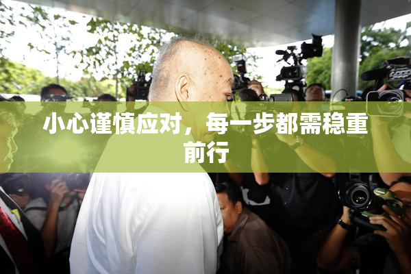 小心谨慎应对，每一步都需稳重前行