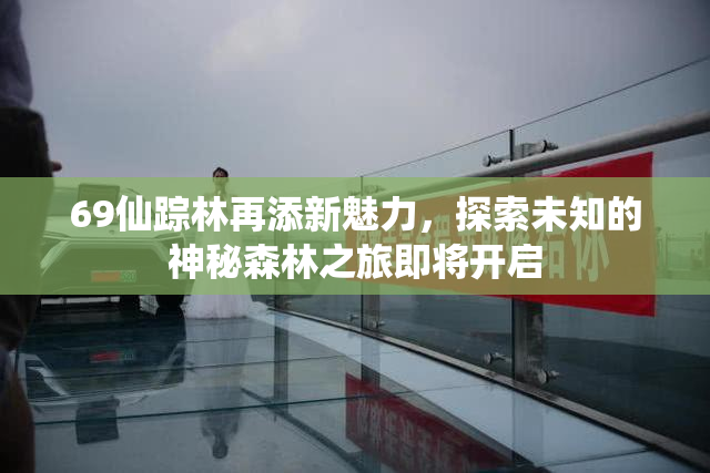 69仙踪林再添新魅力，探索未知的神秘森林之旅即将开启