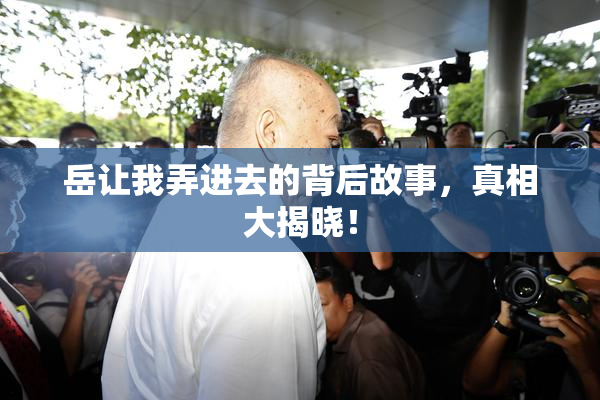 岳让我弄进去的背后故事，真相大揭晓！
