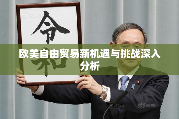 欧美自由贸易新机遇与挑战深入分析