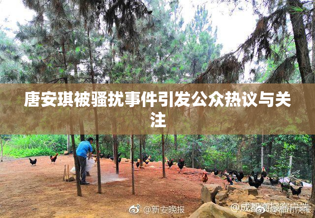 唐安琪被骚扰事件引发公众热议与关注