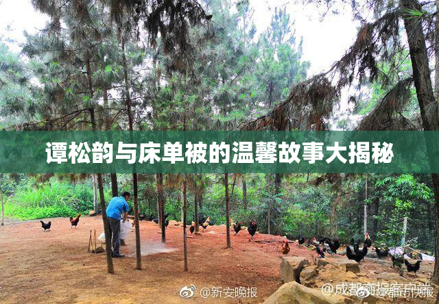 谭松韵与床单被的温馨故事大揭秘