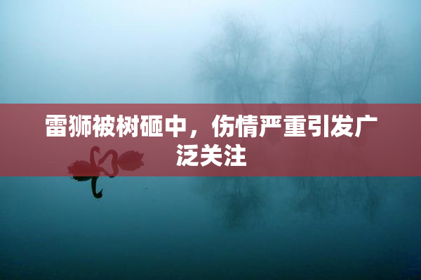 雷狮被树砸中，伤情严重引发广泛关注